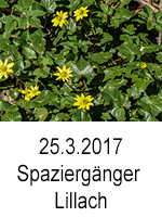 TN 2017 03 25 Spaziergaenger Lillach 0