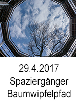 TN 2017 04 29 Spaziergaenger Baumwipfel 0