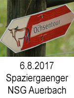 TN 2017 08 06 Spaziergaenger Ochsentour