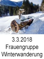 TN 2018 03 03 Frauengruppe Winterwanderung