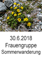 TN 2018 06 30 Frauengruppe Sommerwanderung