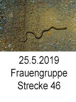 TN 2019 05 25 Frauengruppe Strecke 46