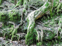 TN 2016 04 02 01 Frauengruppe Wunschwanderung