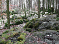 TN 2016 04 02 03 Frauengruppe Wunschwanderung