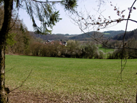 TN 2016 04 02 04 Frauengruppe Wunschwanderung