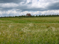 TN P1000086