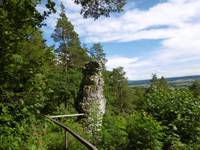 TN P1000103
