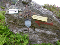 TN 2016 07 09 Frauengruppe 1