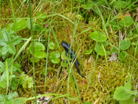 TN 2016 07 09 Frauengruppe 5