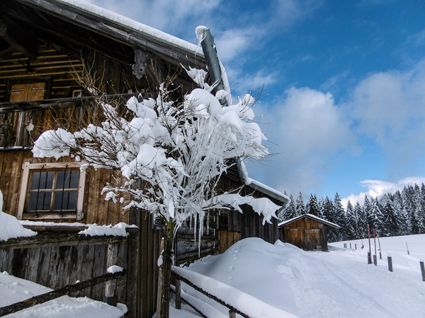TN 2017 02 18 04 Schneeschuhtour
