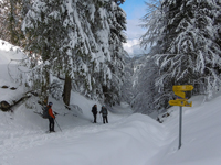 TN 2017 02 18 05 Schneeschuhtour