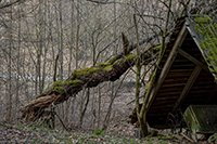 TN 2017 03 11 Marzenbecher Natur 2