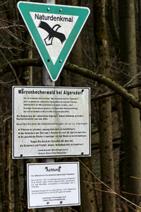 TN 2017 03 11 Marzenbecher Naturdenkmal