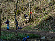 TN 2017 03 25 Lillach Herz