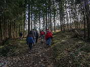TN 2017 03 25 Lillach Rueckweg 1