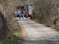 TN 2017 03 25 Lillach Weg1