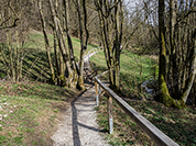 TN 2017 03 25 Lillach Weg 2