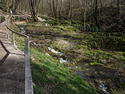 TN 2017 03 25 Lillach Weg 3