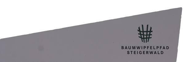 2017 04 29 Spaziergaenger Baumwipfel