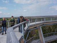 TN 2017 04 29 Spaziergaenger Baumwipfel 11