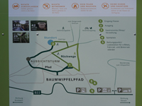 TN 2017 04 29 Spaziergaenger Baumwipfel 13