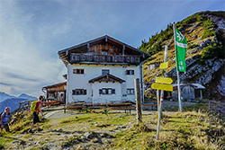 TN 6