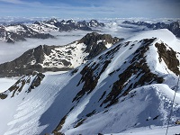 TN IMG 0871