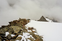 TN DSC05638