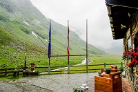 TN DSC05642