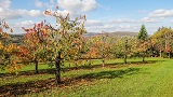 TN_2022_10_19_Walberla_02.jpg