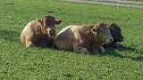 TN_2022_10_19_Walberla_05.jpg